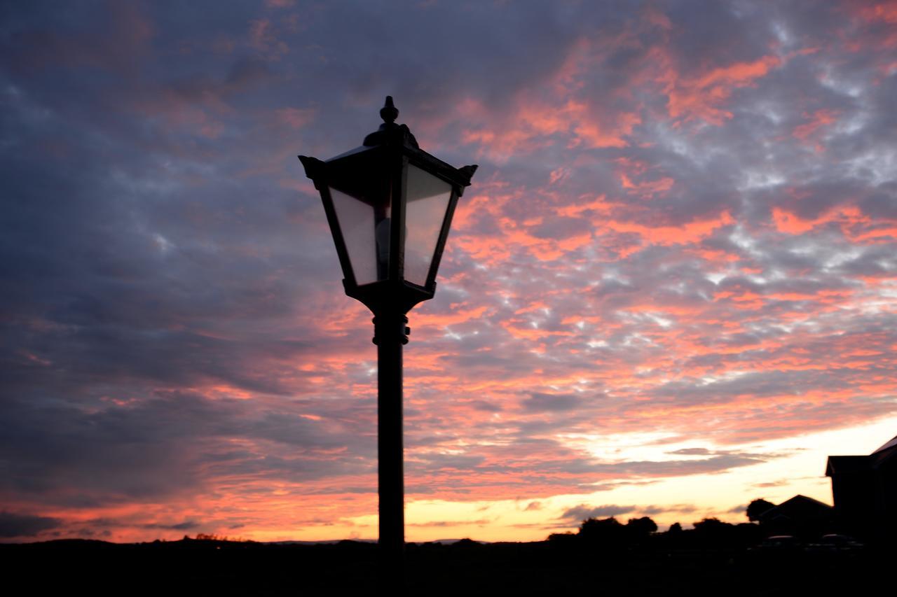 Bunratty Meadows Bed & Breakfast Екстер'єр фото