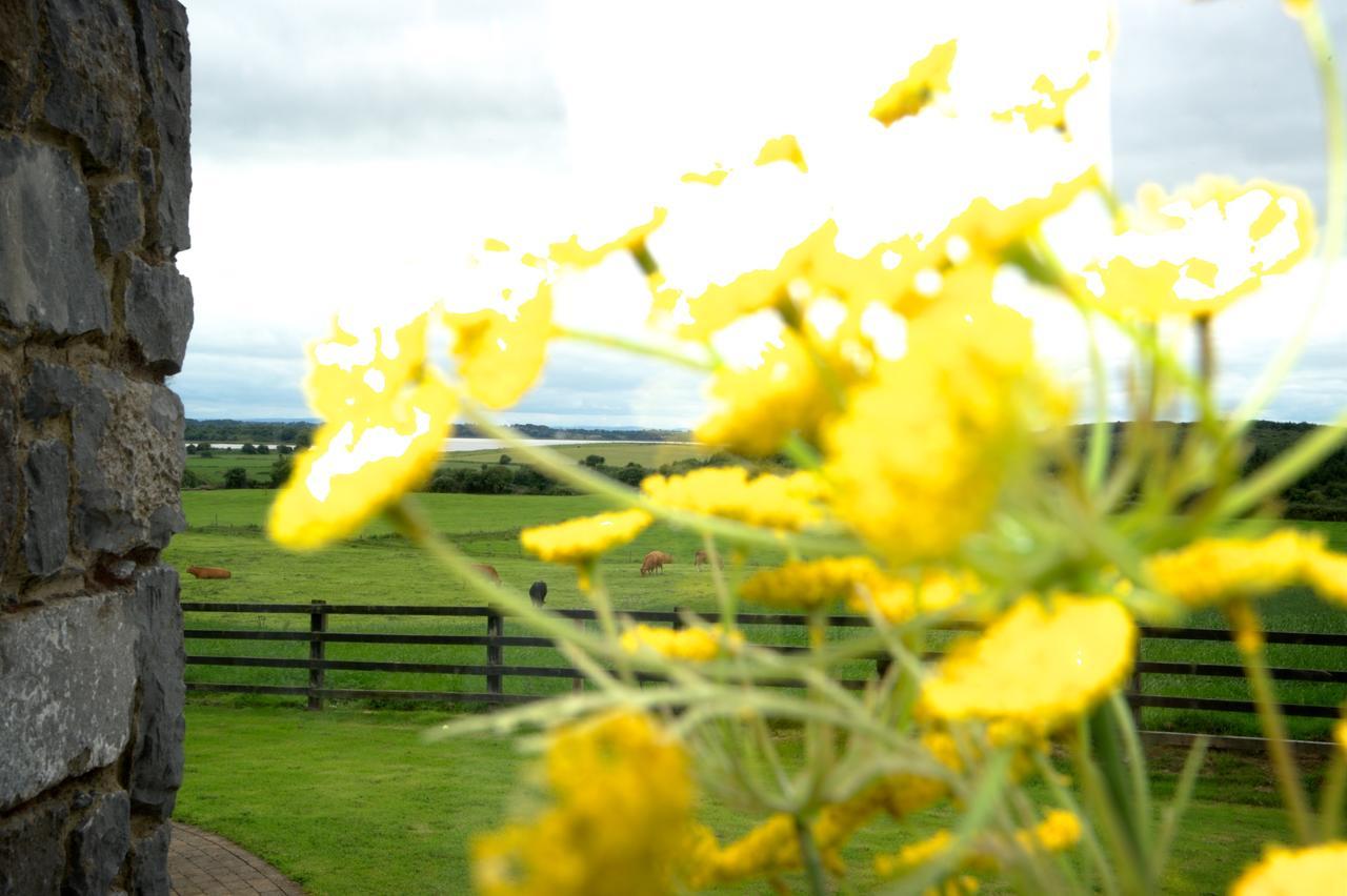 Bunratty Meadows Bed & Breakfast Екстер'єр фото