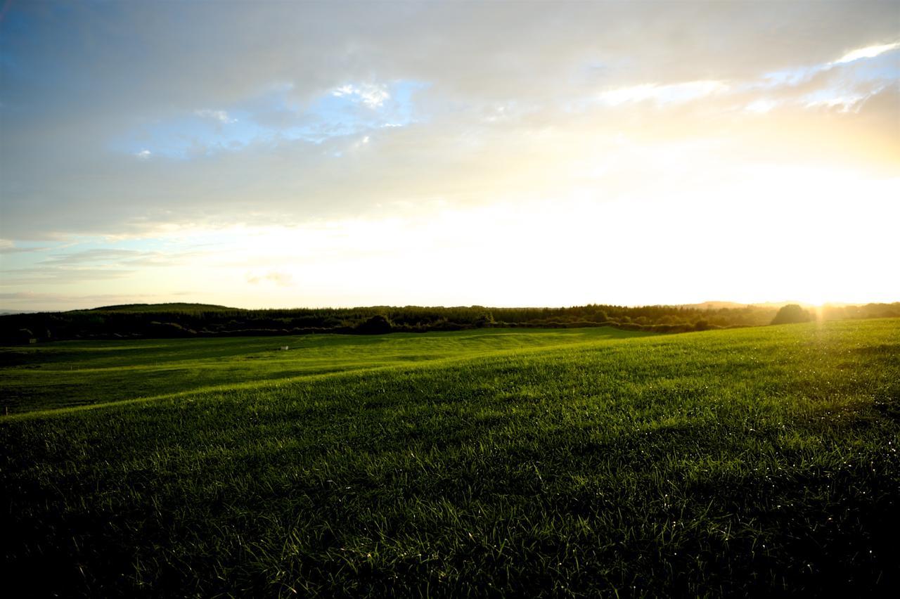 Bunratty Meadows Bed & Breakfast Екстер'єр фото