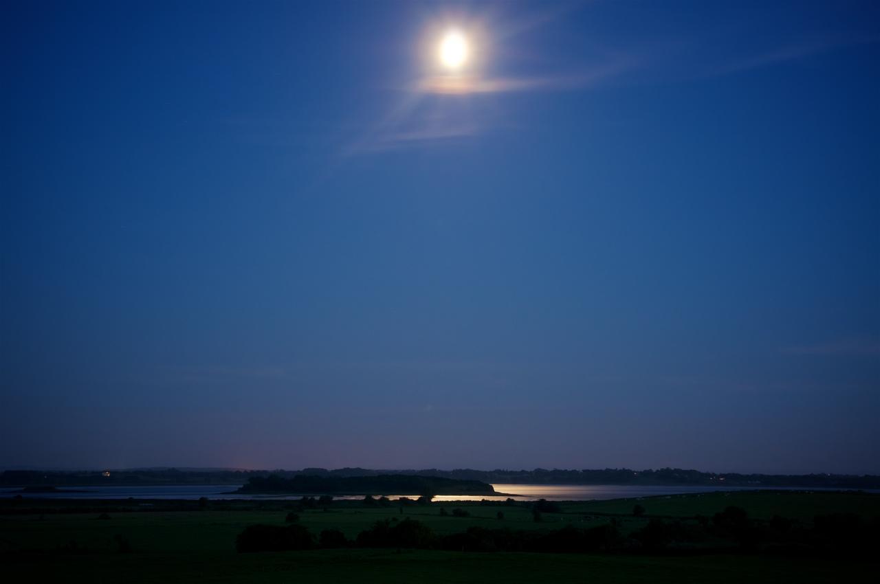 Bunratty Meadows Bed & Breakfast Екстер'єр фото